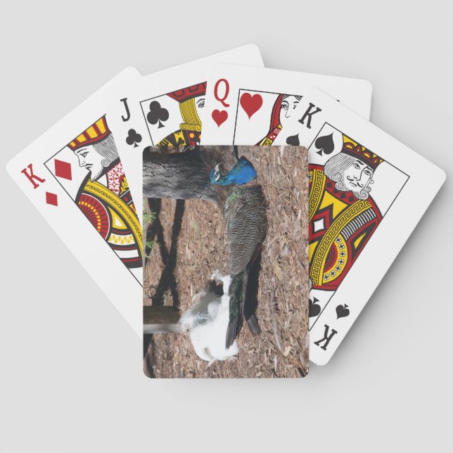 Indian Blue and White Pheasants playing cards Casinokort (Baksidan)