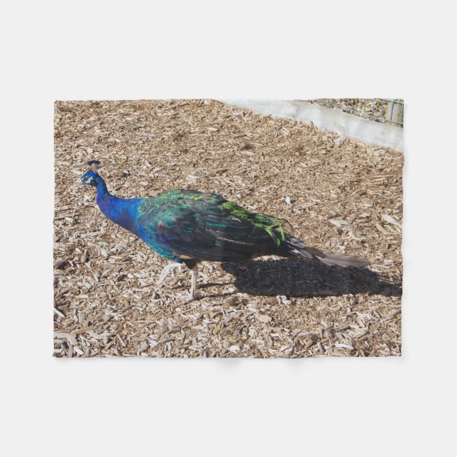 Indian Blue Peafowl fleece blanket (Framsidan (Horisontell))