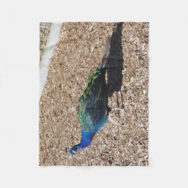 Indian Blue Peafowl fleece blanket