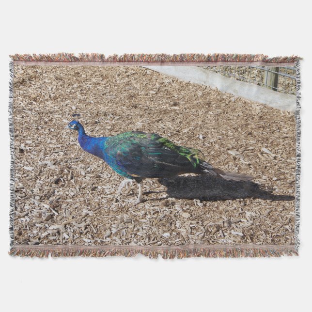 Indian Blue Peafowl throw blanket Filt (Framsidan)