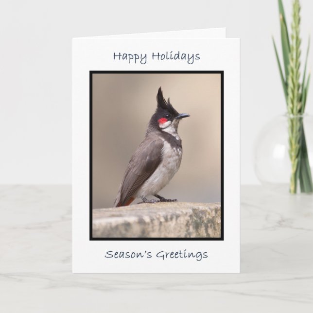 Indian Bulbul Kort (Framsida)