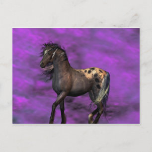 Indian Horse Vykort