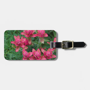 Indian Paintbrush Bagagebricka