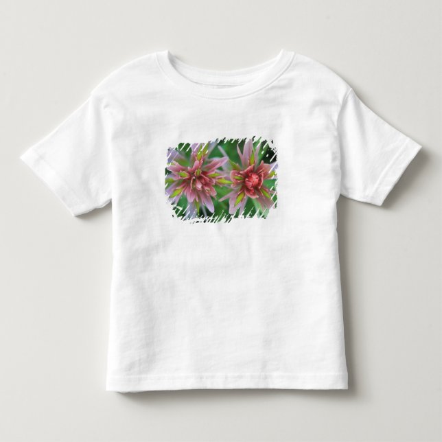 Indian Paintbrush, Banff NP, Alberta, Kanada T Shirt (Framsida)