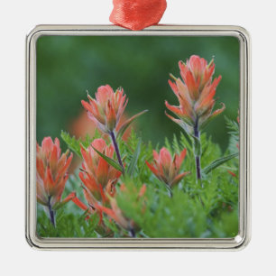 Indian Paintbrush, Castilleja miniata, Ouray, Julgransprydnad Metall