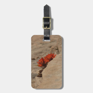 Indian Paintbrush i klippor vid Zion Bagagebricka