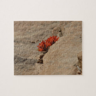 Indian Paintbrush i klippor vid Zion Pussel
