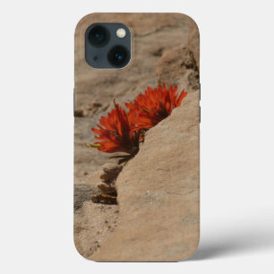 Indian Paintbrush i Sten i Zion