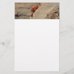 Indian Paintbrush i Sten i Zion Brevpapper