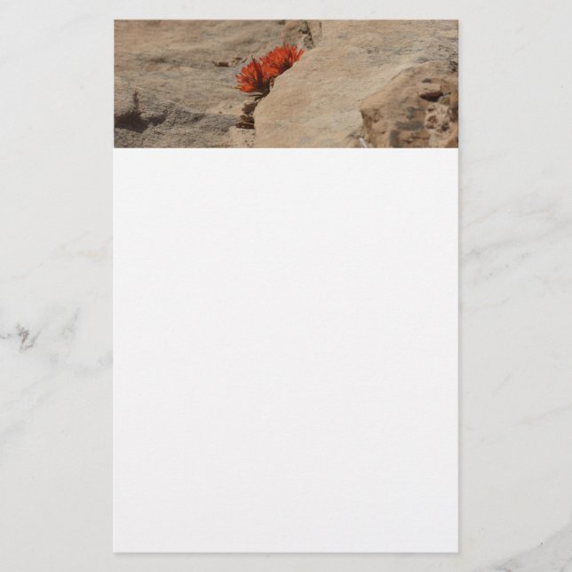 Indian Paintbrush i Sten i Zion Brevpapper (Framsida)