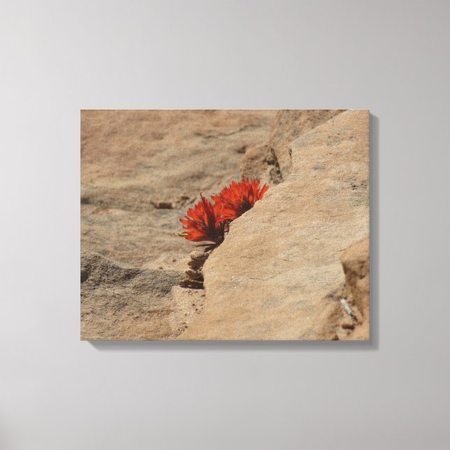 Indian Paintbrush i Sten i Zion Canvastryck (Framsida)