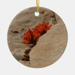 Indian Paintbrush i Sten i Zion Julgransprydnad Keramik