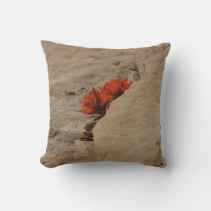 Indian Paintbrush i Sten i Zion Kudde