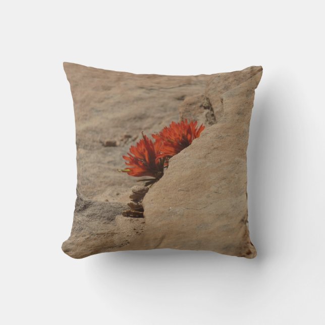 Indian Paintbrush i Sten i Zion Kudde (Framsida)