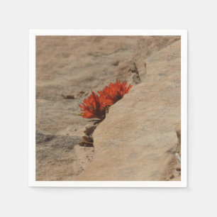 Indian Paintbrush i Sten i Zion Pappersservett