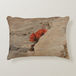 Indian Paintbrush i Sten i Zion Prydnadskudde