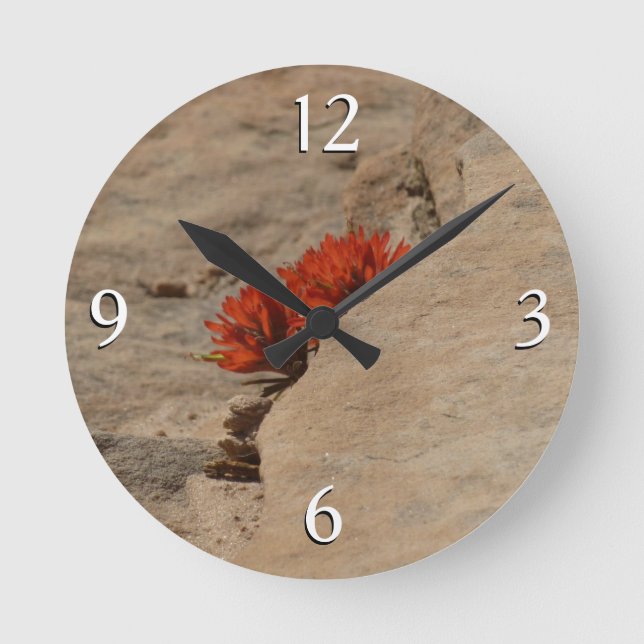 Indian Paintbrush i Sten i Zion Rund Klocka (Framsida)