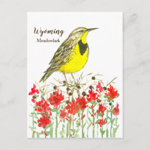 Indian Paintbrush Meadowlark State Bird of Wyoming Vykort