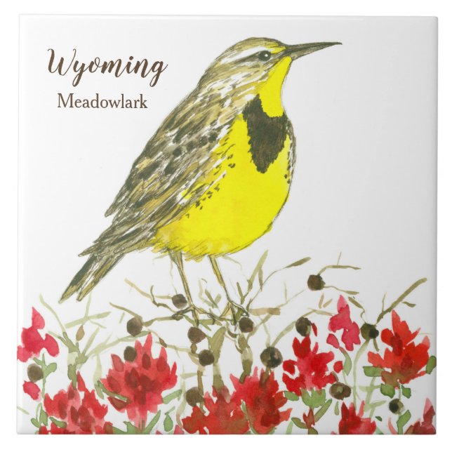 Indian Paintbrush Meadowlark Wyoming Souvenir Kakelplatta (Framsidan)
