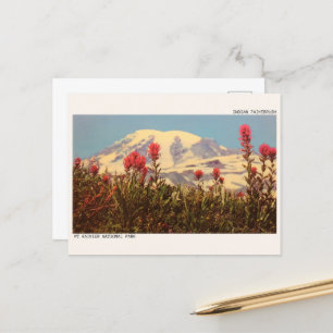 INDIAN PAINTBRUSH, Mt Riner National Park-presente Vykort