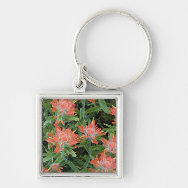 Indian penselfloror i Many Fyrkantig Silverfärgad Nyckelring (Framsidan)