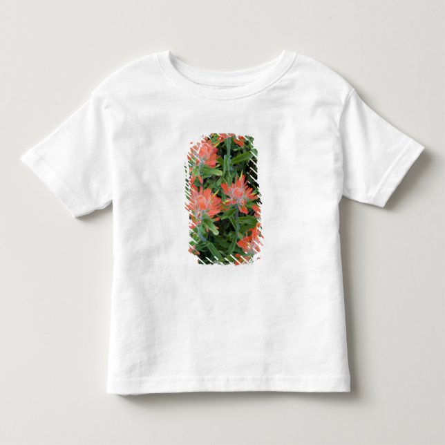 Indian penselförsedelblommor i Many Tee (Framsida)