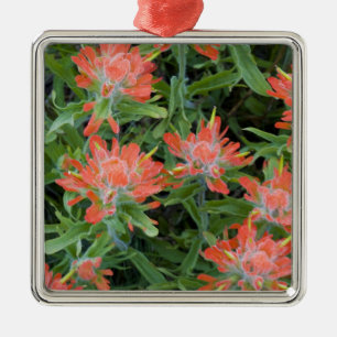 Indian penselfruktsblommor i Many Julgransprydnad Metall