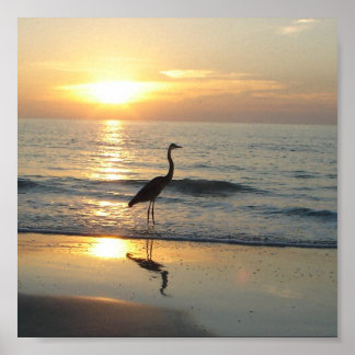 Indian Sten Beach Florida Sunset Crane Poster
