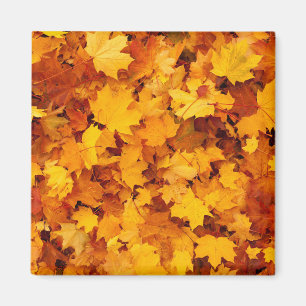 Indian Summer Golden Löv Magnet