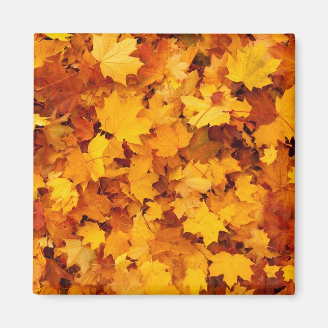 Indian Summer Golden Löv Magnet (Framsidan)