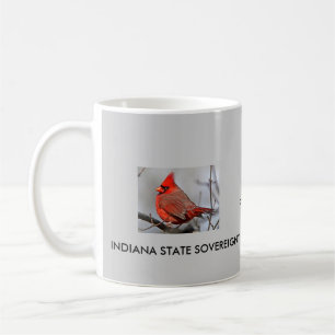 iNDIANA 10TH AMMEMDMENT KOPP
