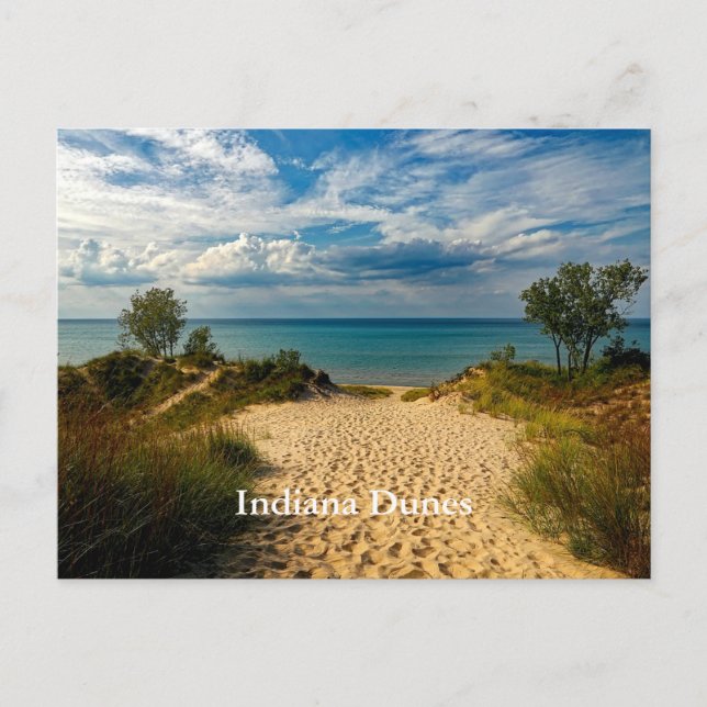 Indiana Dunes, Lake Michigan, märkt Vykort (Framsida)