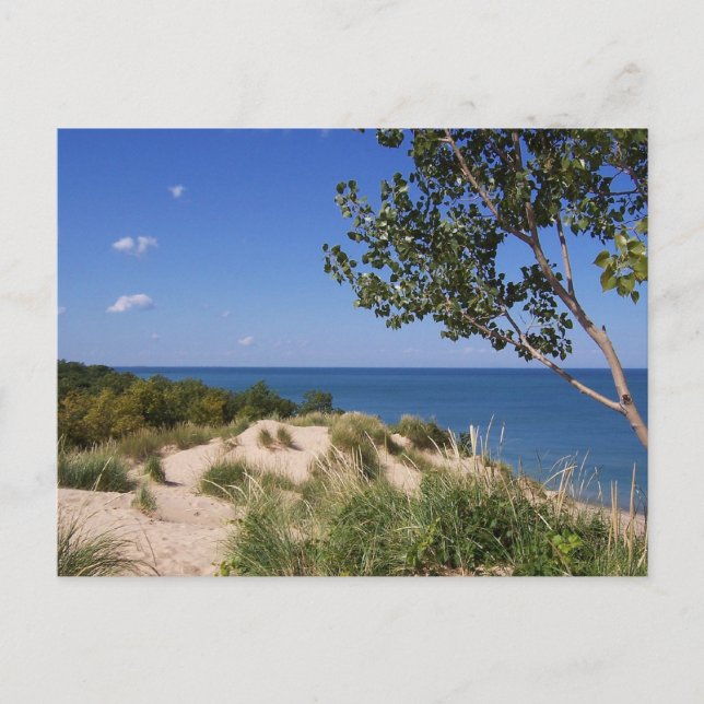 Indiana Dunes National Lakeshore Vykort (Framsida)