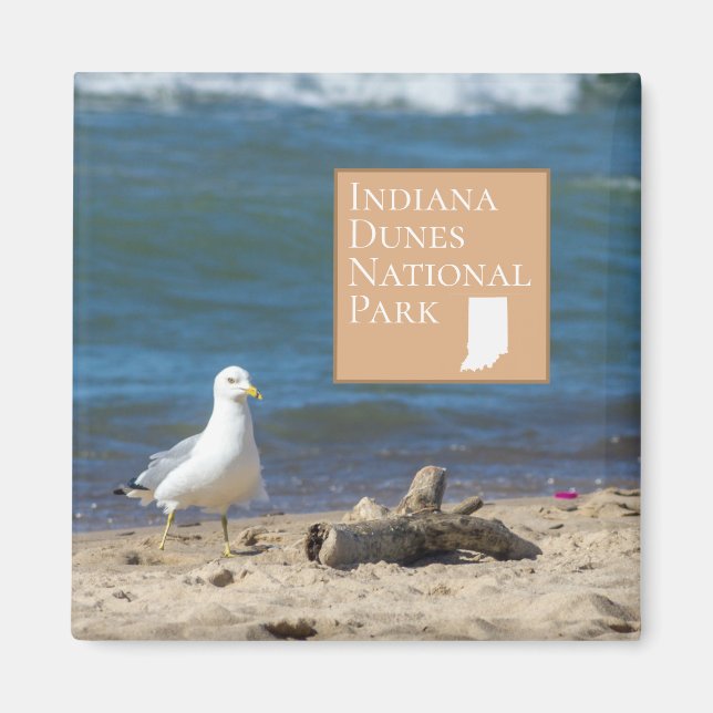 Indiana Dunes National Park Gift Magnet (Framsidan)