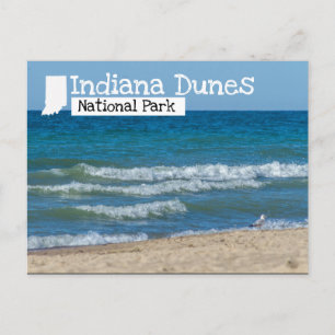 Indiana Dunes nationalpark Beach Vykort