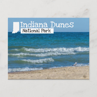 Indiana Dunes nationalpark Beach Vykort
