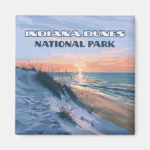 Indiana Dunes nationalpark Sjö Michigan
