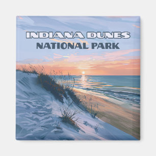 Indiana Dunes nationalpark Sjö Michigan Magnet