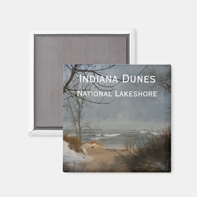 Indiana Dunes, Sjö Shore, Cloudy, Winter Magnet (Front/Back)
