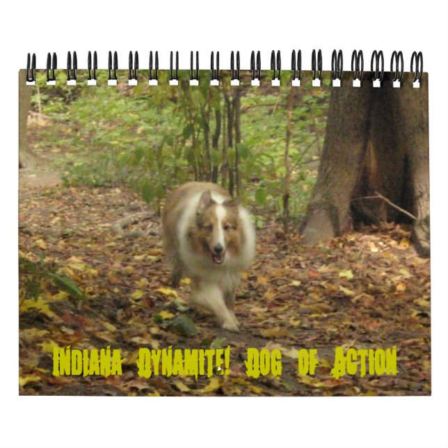 Indiana Dynamite! Hund av åtgärdskalender Kalender (Omslag)