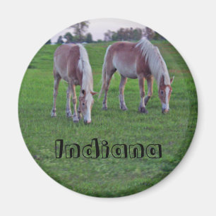 Indiana hästar magnet