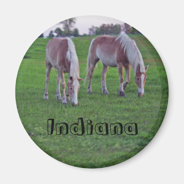 Indiana Horses Magnet (Framsidan)