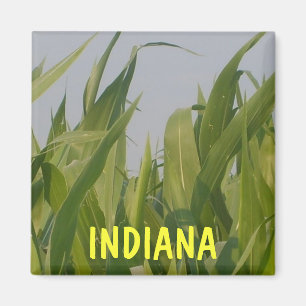 Indiana magnet