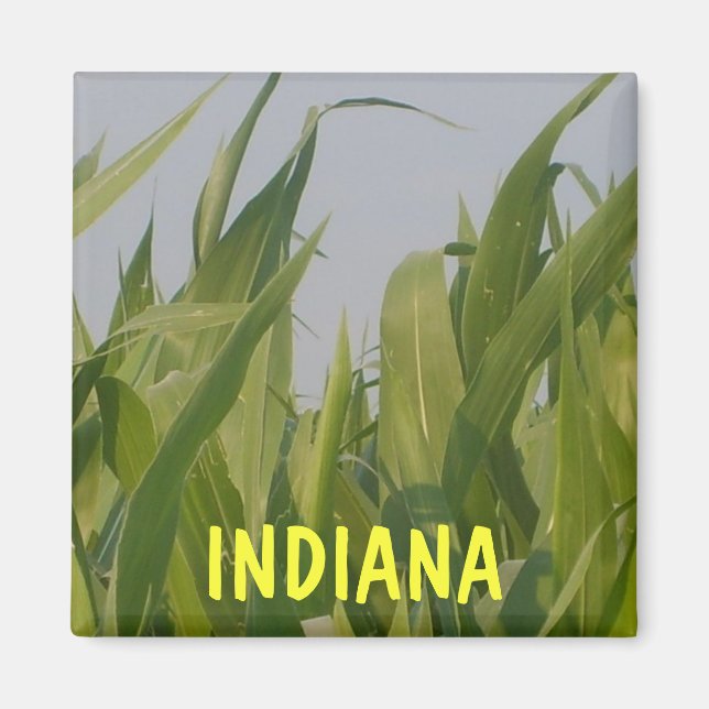 Indiana Magnet (Framsidan)