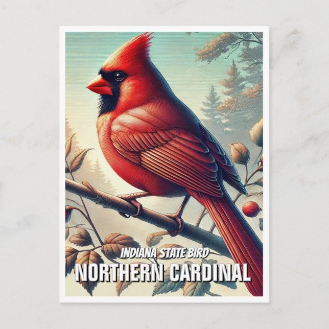 Indiana State Bird Northern Kardinal Vykort (Framsida)