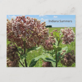 Indiana Summers Vykort