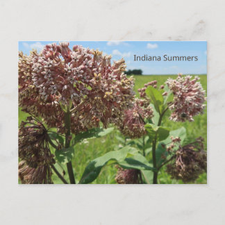 Indiana Summers Vykort