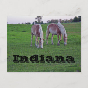 Indiana Vykort