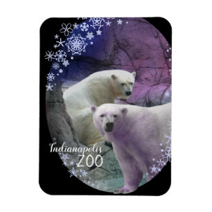 Indianapolis Zoo Isbjörn Snöflingor Magnet