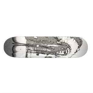 Indianchef Mini Skateboard Bräda 18,5 Cm